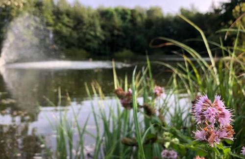 Bourbourg House | Le Cottage de l etang