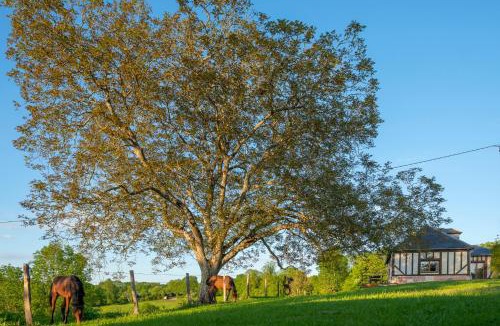 Roiville House | Le Cottage des Trotteurs - Vue - Calme - Gîte équestre
