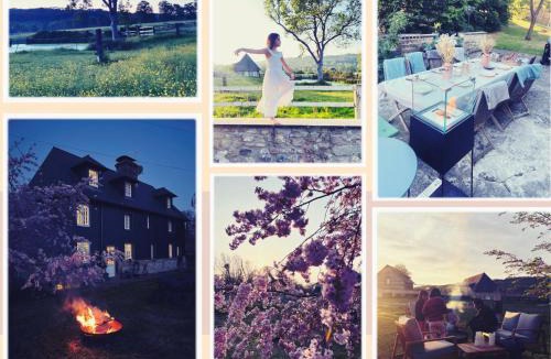 Tourgeville House | Le cottage du Haras de Deauville
