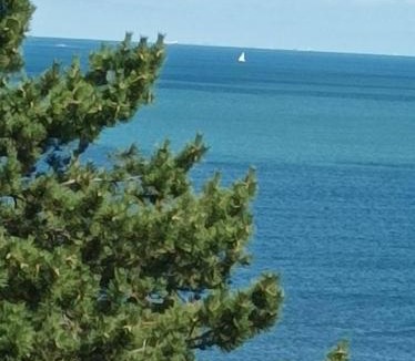 Benerville-sur-Mer Apartment | le cottage vue mer