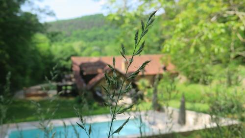 Auriac-du-Perigord House | Le Coustal