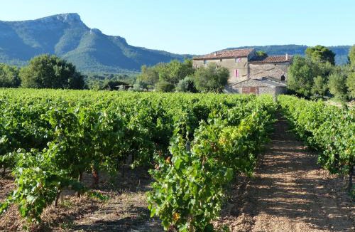 Trets Bed & Breakfast | LE DEFFEND VIEUX