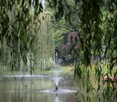 Busnes Hotel | Le Domaine de Beaulieu