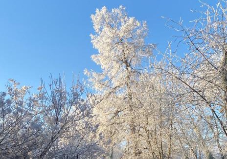 Moroges Bed & Breakfast | Le Domaine de Moroges