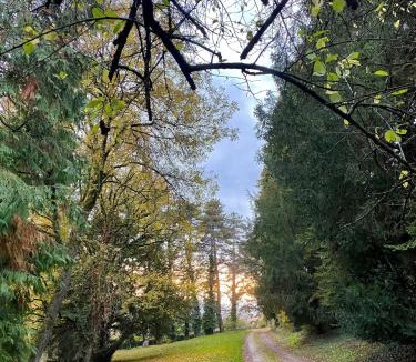 Moroges Bed & Breakfast | Le Domaine de Moroges