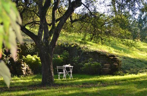 Moroges Bed & Breakfast | Le Domaine de Moroges