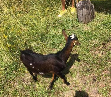 Lachambre House | Le Domaine des Prés