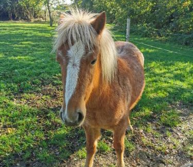 Mee House | Le Domaine du Nail