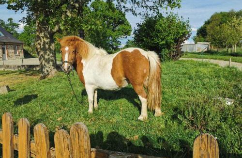 Mee House | Le Domaine du Nail