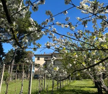 Rancolfo House | Le Due Querce