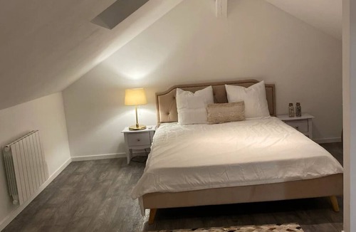 Chalon-sur-Saone Apartment | Le Duplex de L'avenue