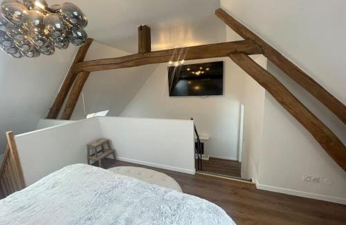 Saint-Martin-du-Tertre House | Le Duplex Balnéo Maison climatisée