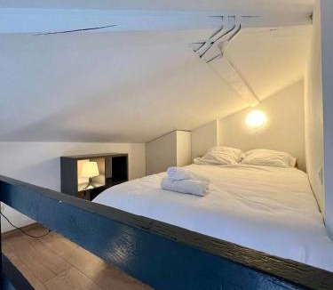Saint - Michel Apartment | Le Duplex Toulousain - Tram Métro - Centre ville