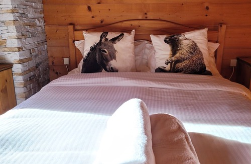 La Chapelle-d'Abondance House | Le Féto