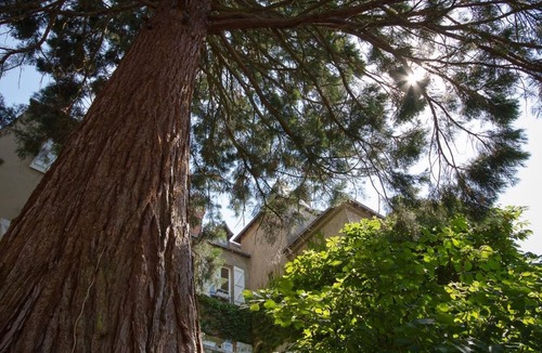 Chateauroux House | Le Fassardy - Chambre d'Hôtes