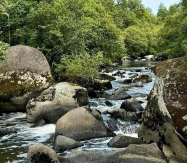 Le Tablier Other | Le fief