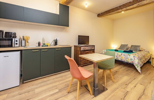 Lavaur Apartment | Le Figuier - Charming Studio