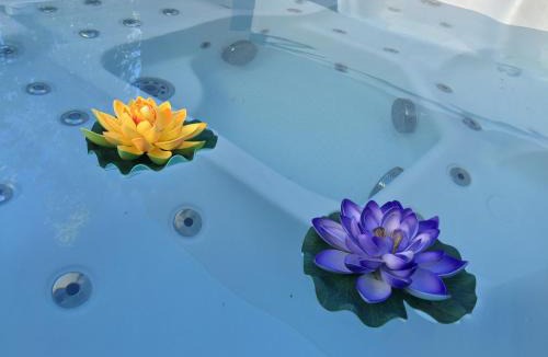 Villeneuve-les-Maguelone House | Le Flamingo