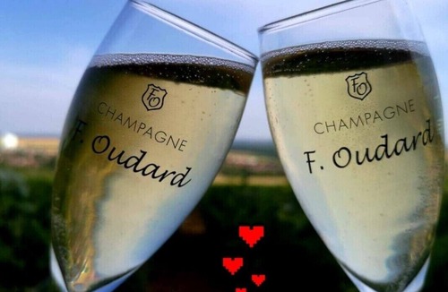 Villenauxe-la-Grande Hotel | le Flaubert