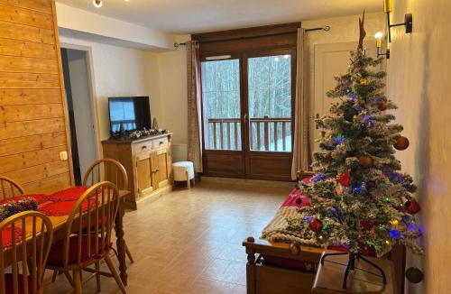 Flumet Apartment | Le Flocon Cosy Espace Diamant