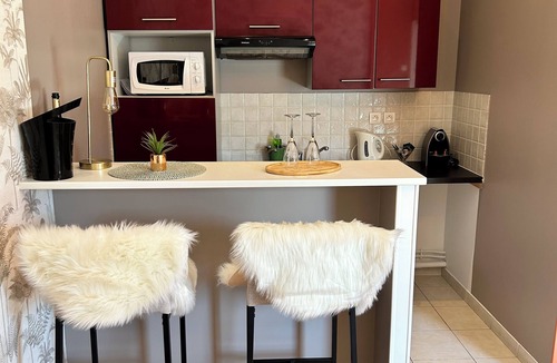 Epernay Apartment | Le Flodoard Chic, downtown