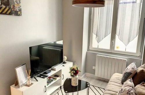 Centre Ville Apartment | Le Florentin - Hyper centre