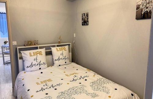 Centre Ville Apartment | Le Florentin - Hyper centre