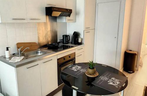 Centre Ville Apartment | Le Florentin - Hyper centre