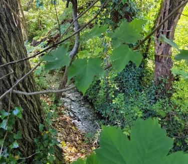 Nant Apartment | Le frais ruisseau