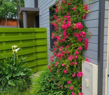 Blain Apartment | Le gîte blinois