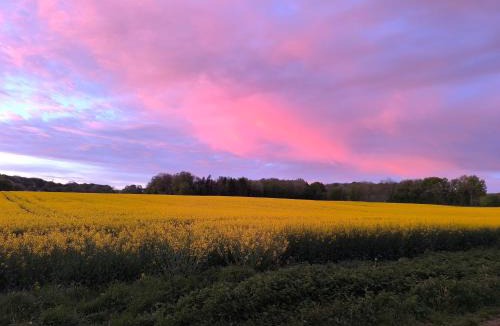 Dampierre-sous-Bouhy House | Le Gîte d'Odette