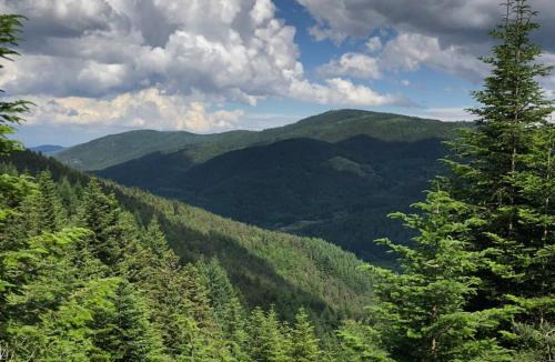 Saint-Bonnet-le-Froid House | Le Gîte de Pierre et Henri