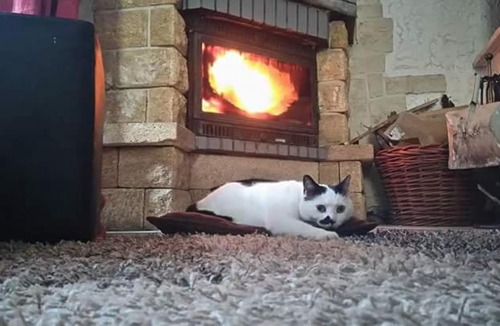 Clans Apartment | Le Gîte de la Tinée