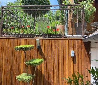 Rignac House | Le gîte de Marina