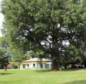 Luglon House | Le gîte de marquin
