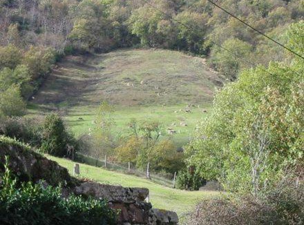 Saint-Izaire House | Le Gîte de Saint Izaire
