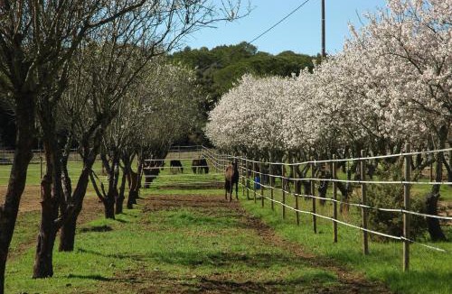 Lunel-Viel House | Le Gîte des écureuils