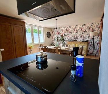 Bitche House | le gîte des frangines