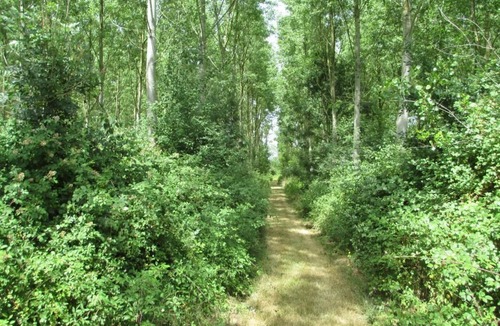 Vonnas House | Le Gîte des Teppes - Vonnas