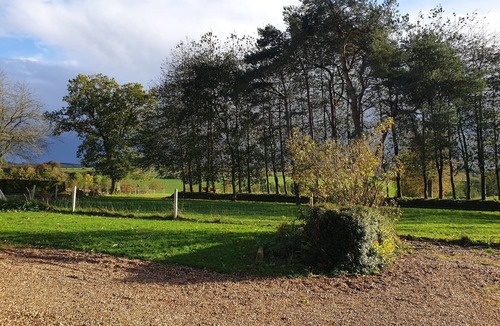 Vassonville House | Le gîte du bois du fil. Pets allowed