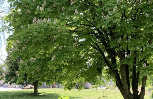 Trouans House | Le Gîte du Cerf - Trouans