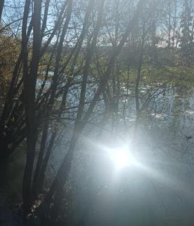 Dieue-sur-Meuse House | Le gîte du coin