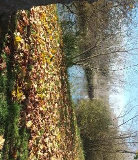 Dieue-sur-Meuse House | Le gîte du coin