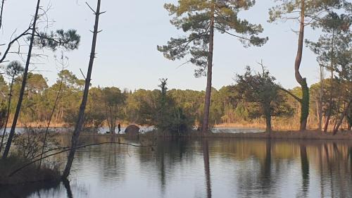 Hostens House | Le Gîte du Lac d'Hostens
