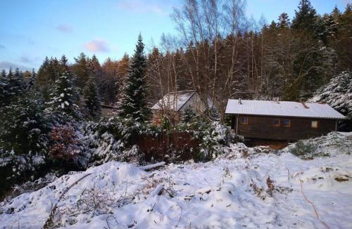 Dabo Ski Chalet | Le gîte du Männele - Into my Hardt