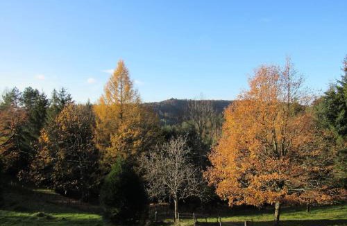 Dabo Ski Chalet | Le gîte du Männele - Into my Hardt