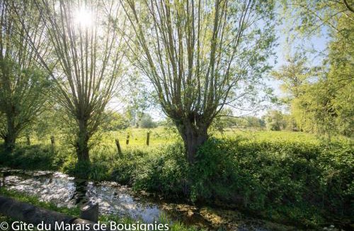 Bousignies House | Le Gîte du Marais de Bousignies - campagne de Saint amand les eaux- Valenciennes