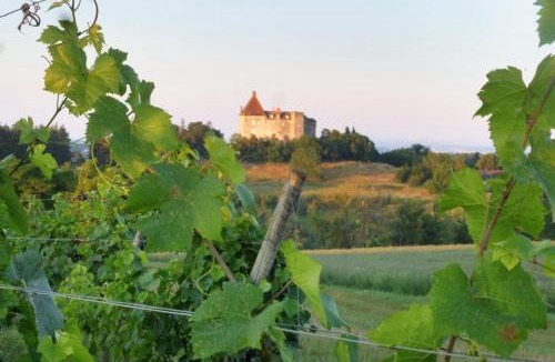 Saulcet House | Le Gîte Du Vigneron