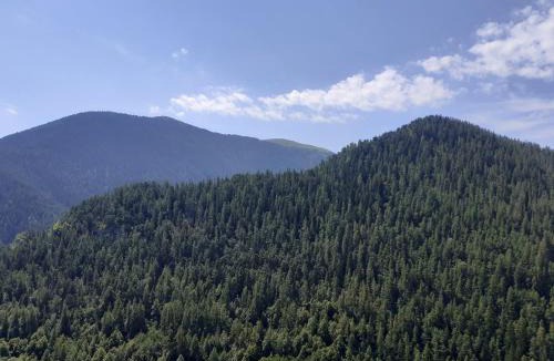 Roubion House | Le genepi