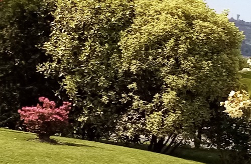 Tourlaville House | le Gite du Domaine du Cotis